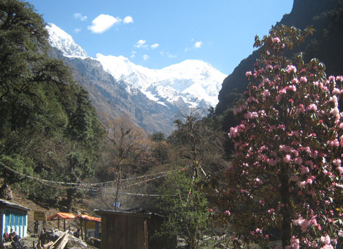 Langtang Region Trek